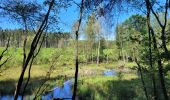 Tour Wandern Dreibrücken - rando logbiermé 6-08-2024 - Photo 11