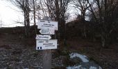 Trail Walking Kirchberg - Source de la Doller - Photo 9