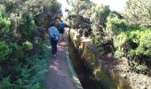Trail Walking Calheta - Levada do Aletrim - Photo 15