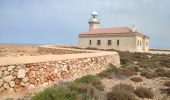 Randonnée Marche Citadelle - Cales Piques – Cala Morell - Photo 19