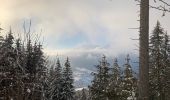 Excursión Raquetas de nieve Saint-Jean-de-Sixt - Le panorama du Danay (14) - Photo 7