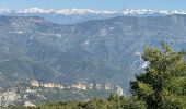 Trail Walking Bézaudun-les-Alpes -  Bezaudun : Mont Estellier - Photo 15
