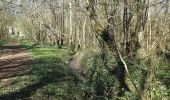 Percorso A piedi Chaumont-Gistoux - #200504 - Gistoux, Brûlotte, Babaures, Bois de Chaumont et Sentier de la Vallée**** - Photo 5