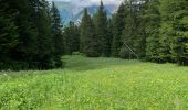 Tour Wandern Montricher-Albanne - Chemin ´°5 - Photo 3