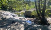 Trail Walking Saint-Mélany - Mélange chemin des lauzes - Photo 1