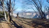 Tour Wandern Saint-Julien-en-Vercors - Pas des Voutes-Pas de l'Allier depuis St Julien en Vercors - Photo 17