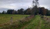 Trail Walking Theux - gervova . chemin du ninglinspo . chifgotte . charmille . gervova - Photo 1