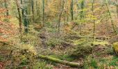 Tocht Stappen Huelgoat - Forêt Huelgoat - Photo 12