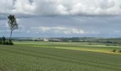 Tocht Stappen Saint-Riquier - St riquier-maison roland  - Photo 2