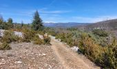 Tour Wandern Méthamis - Les Reīs Castelmourié - Photo 1