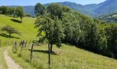 Trail Walking Thoiry - saint Jean d'Arbey - Photo 1