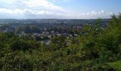 Trail Walking Sentheim - Bucherg - Photo 4