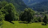 Randonnée Marche Les Houches - servoz - Photo 9