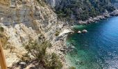 Trail Walking Marseille - Les calanques de Cassis . Sugiton Morgiou.Sormiou - Photo 17