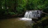 Randonnée Marche Frocourt - Frocourt - Arboretum - Photo 2