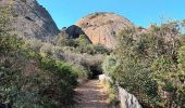 Excursión Senderismo La Ciotat - Sémaphore bec de l'Aigle, la Ciotat, 04-10-23  - Photo 4