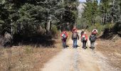 Trail Walking Fuilla - fuilla (66) - Photo 7
