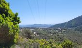 Tour Wandern Le Revest-les-Eaux - source de la Ripelle, oppidum de vieille valette  - Photo 3