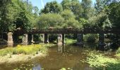 Tour Wandern Guémené-Penfao - 03.07.2019 - AUTOUR DE GUÉMENÉ-PENFAO - Photo 6