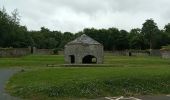 Randonnée A pied The Municipal District of Castlecomer - Walled Garden Loop - Photo 7