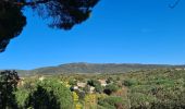 Tocht Stappen Sainte-Maxime - Sainte maxime - le couloubrier - Photo 18