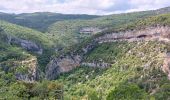 Excursión Senderismo Monieux - gorge de la Nesque  - Photo 5