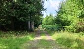 Tour Wandern Assesse - Randonnée Laneville au bois - Photo 10