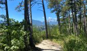 Tour Wandern Mayres-Savel - Randonnée des passerelles  - Photo 7