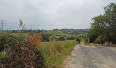 Tocht Stappen Grézieu-la-Varenne - grezieu la varenne. entre chemins et goudron  - Photo 2