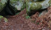 Tour Wandern Fontainebleau - 3 eme solution  15 janvier cabaret masson - Photo 1