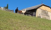 Trail Walking Vallières-sur-Fier - VALLIERES 3 - Photo 5