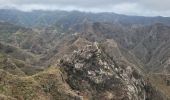 Excursión Senderismo San Cristóbal de La Laguna - Punta del Hidalgo  - Chinamada  - Photo 2