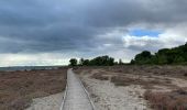 Tocht Stappen Frontignan - Les Aresquiers par le bois - Photo 2