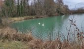 Trail Walking Burnhaupt-le-Bas - Burnhaupt le Bas - Photo 1