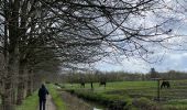 Trail Walking Holsbeek - Sin Pieter Rode  - Photo 12