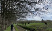 Tour Wandern Holsbeek - Sin Pieter Rode  - Photo 12