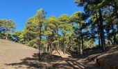 Trail Walking El Pinar de El Hierro - Hoya del Morcillo - Pico Malpaso (El Hierro) - Photo 1