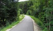 Tour Zu Fuß Altmannstein - Schambach Ursprungweg - Photo 5