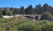 Tocht Stappen Pont de Montvert - Sud Mont Lozère - T-Hopital - Photo 8