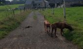 Trail Walking Esneux - hout si plou - Photo 1