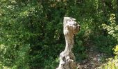Trail Walking La Roche-des-Arnauds - SityTrail - Circuit de la combe du Duc - Photo 18