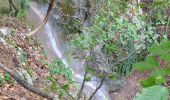 Excursión A pie Gemeinde Waldegg - Dürnbach (Nazwirt) - Klamm - Scheuchenstein - Photo 9