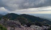 Randonnée Marche Bagnols-en-Forêt - Gorges du Blavet au col de la pierre du coucou - Photo 13