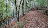 Trail Walking Nandrin - marche adeps villers le temple - Photo 1