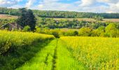 Tour Wandern Château-Thierry - Le chemin de St Colomban en IDF Etape 1 Chateau Thierry - Nanteuil sur Marne - Photo 1