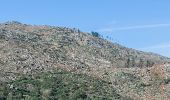 Percorso A piedi Soajo - Romeiros da Peneda – Rota de Soajo - Photo 8