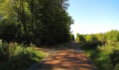 Randonnée Marche Dampleux - en forêt de Retz_80_sur la Route Tortue et la Route Droite - Photo 8