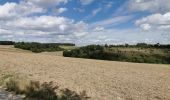 Tour Zu Fuß Werbach - Liebliches Taubertal – Rundwanderweg 7 – Muschelkalk und Orchideen - Photo 5