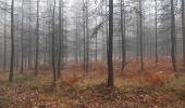 Randonnée Marche Stoumont - 10km sous la pluie autour de Lorcé - Photo 11