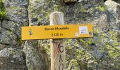 Trail Walking Venaco - Petra Piana Vizzavona - Photo 10